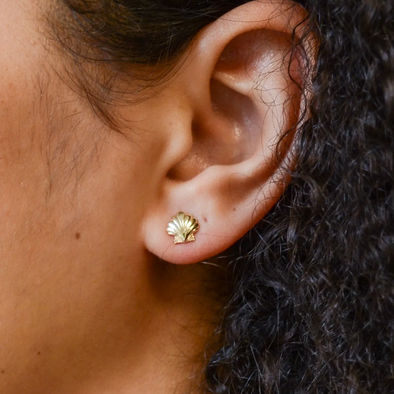 '100 Ways' Seashell Stud Earrings |