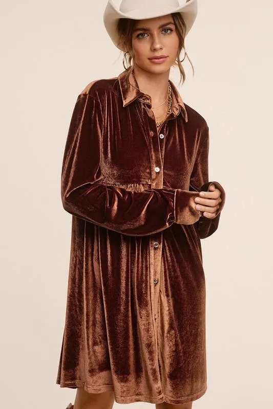 Amethyst Velvet Button Up Dress