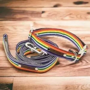 Finnigan's Bespoke Dog Collar & Lead Set