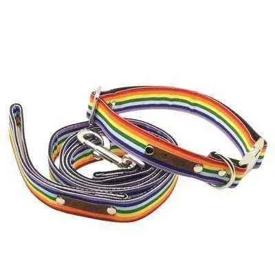 Finnigan's Bespoke Dog Collar & Lead Set