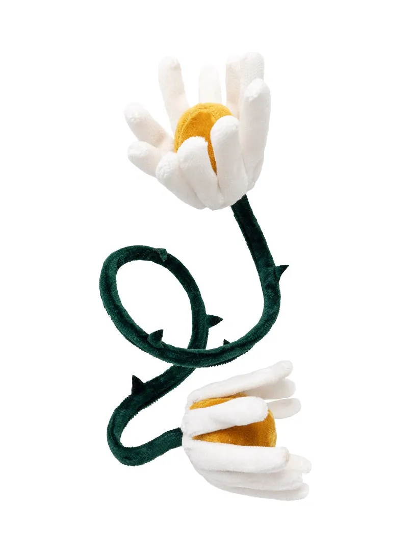 Flor de Tierra