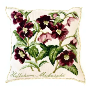 Hellebore Midnight
