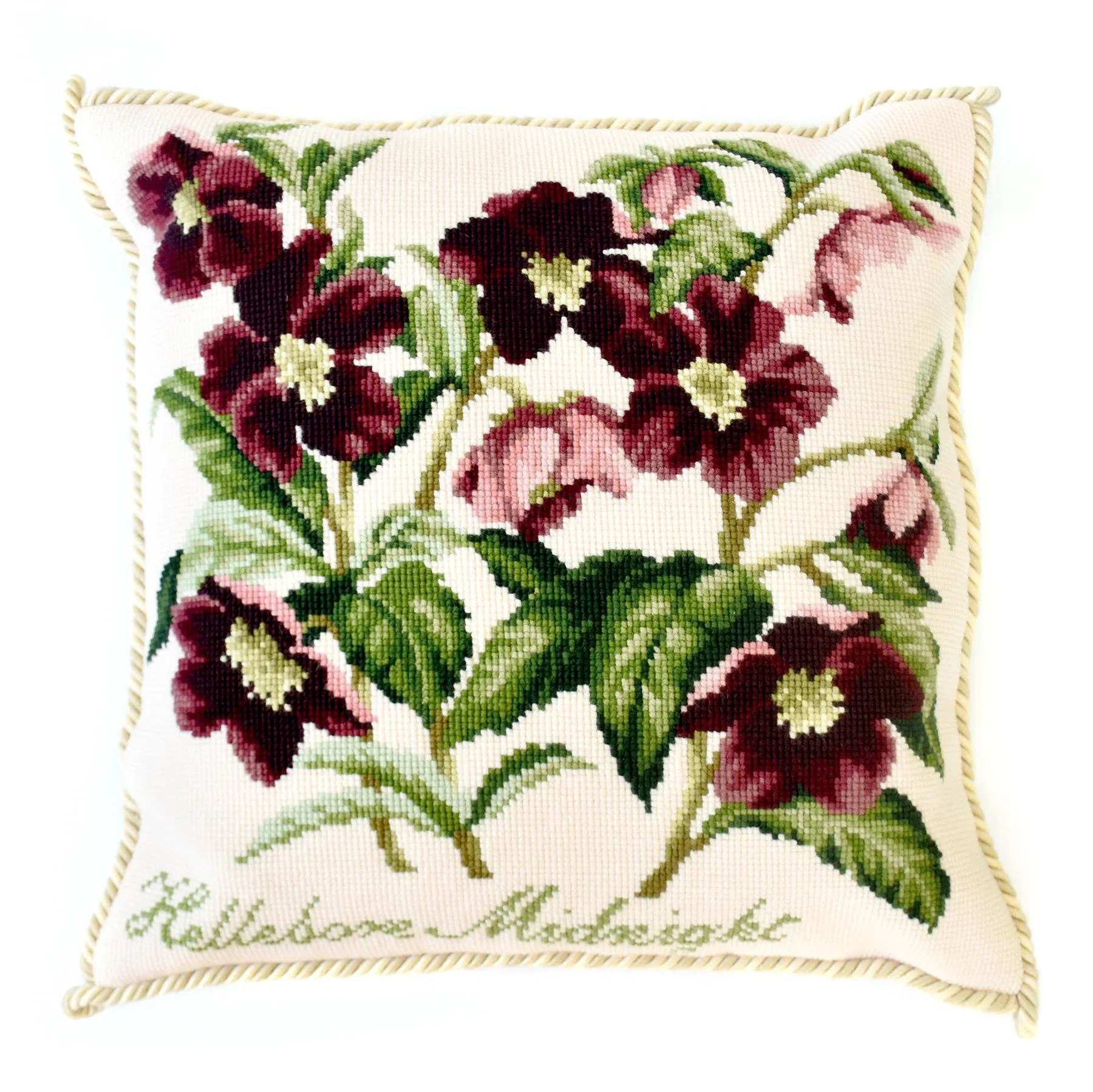 Hellebore Midnight