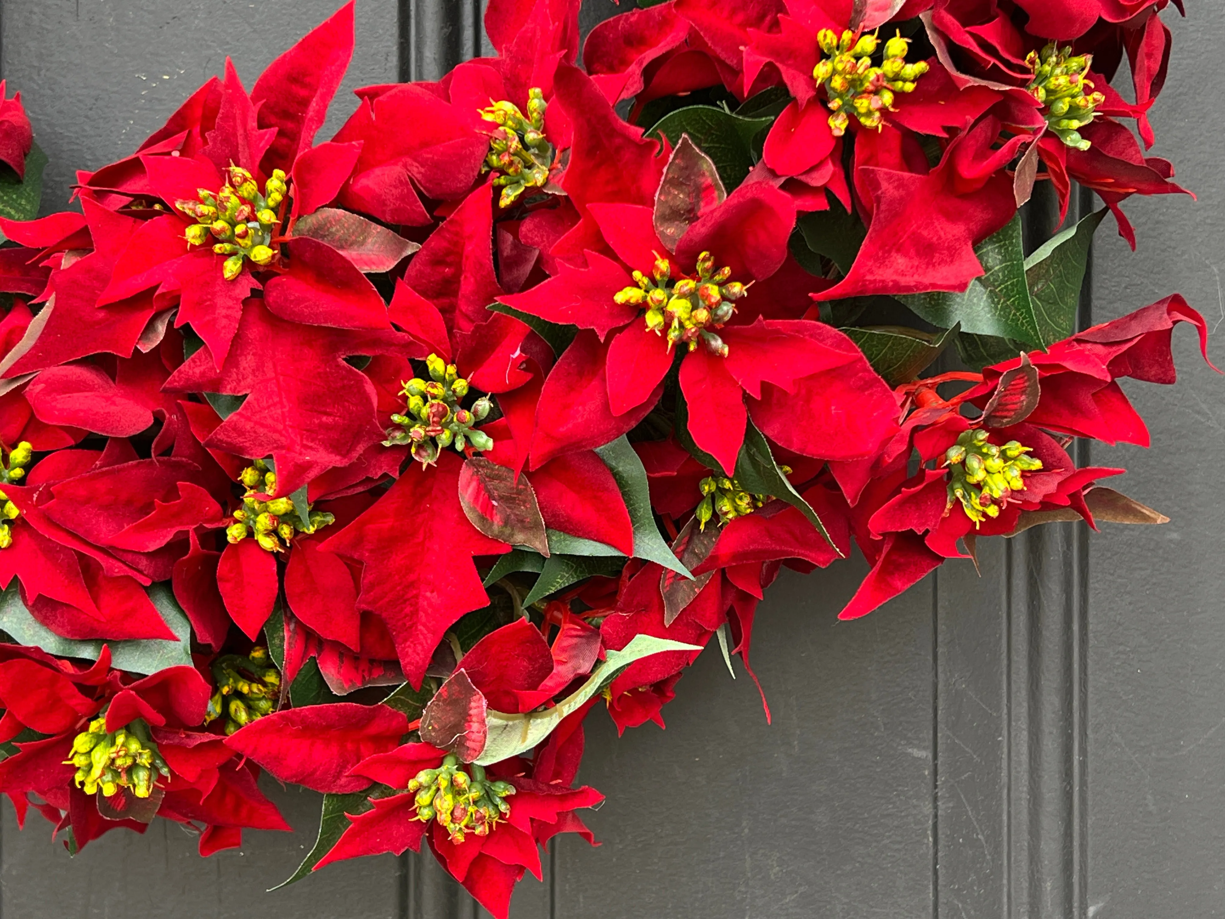 Holiday Red Poinsettia Wreath