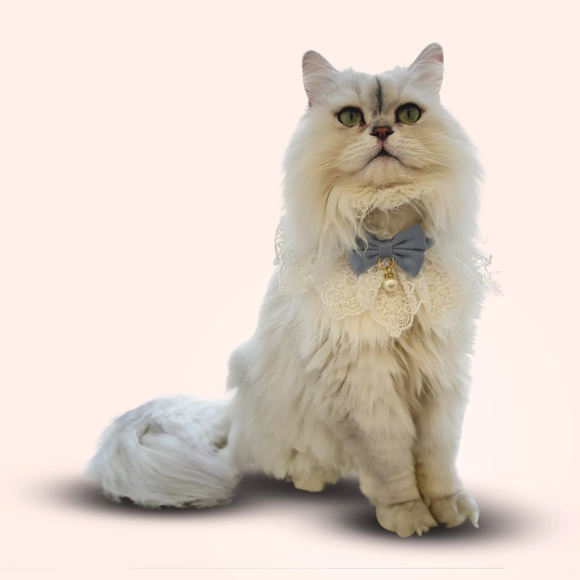 Lace Whisker Bowtie Pet Bandana - Red