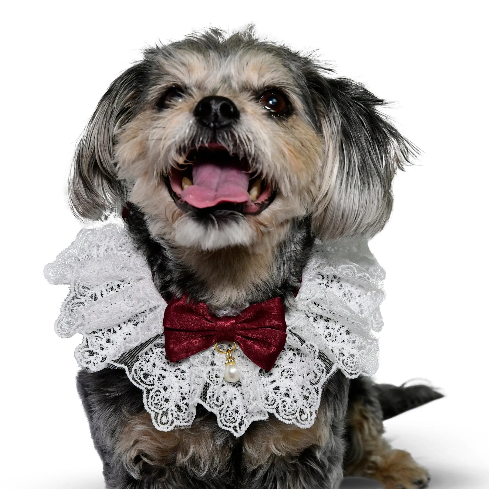 Lace Whisker Bowtie Pet Bandana - Red