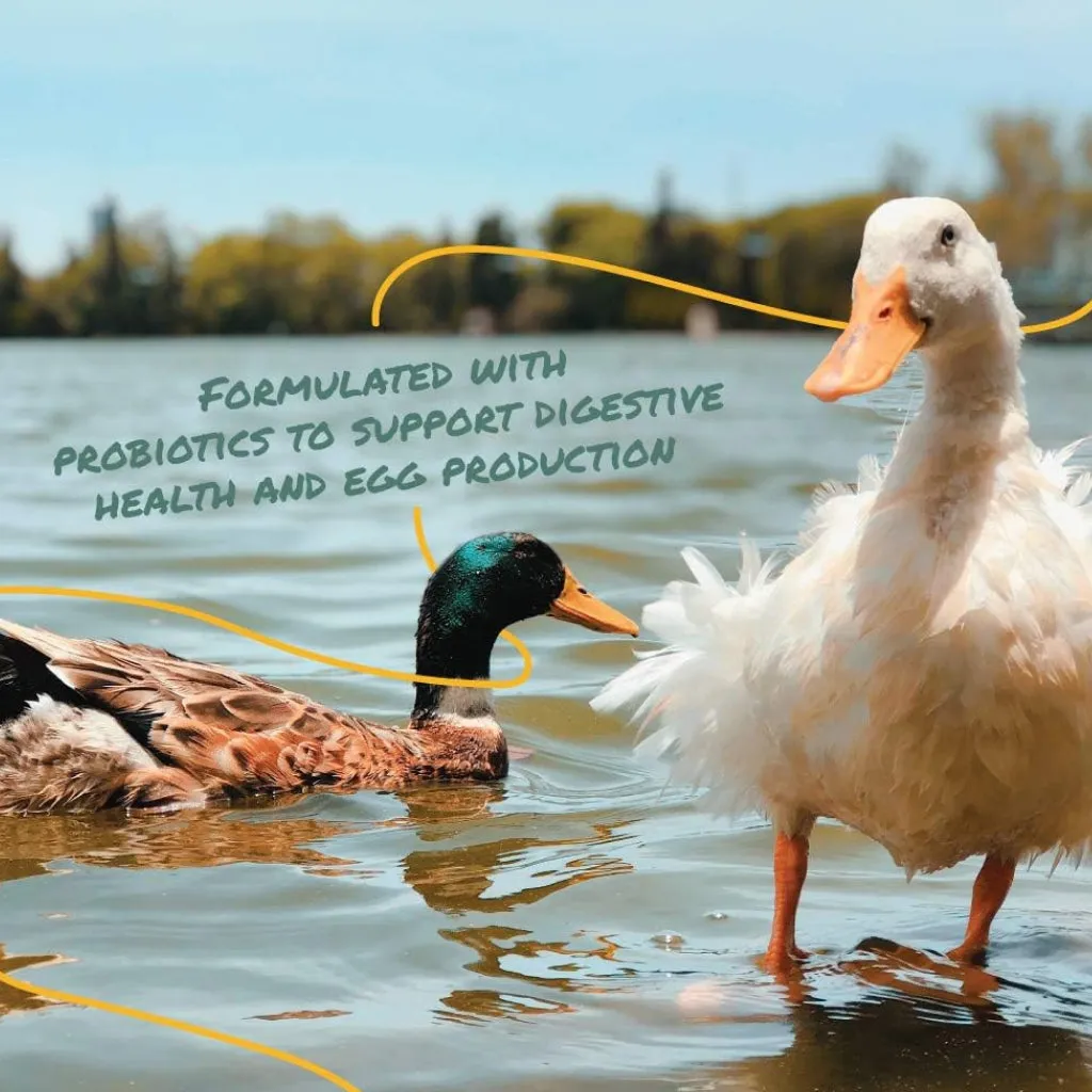 Manna Pro Layer Pellets for Ducks (8 lb)