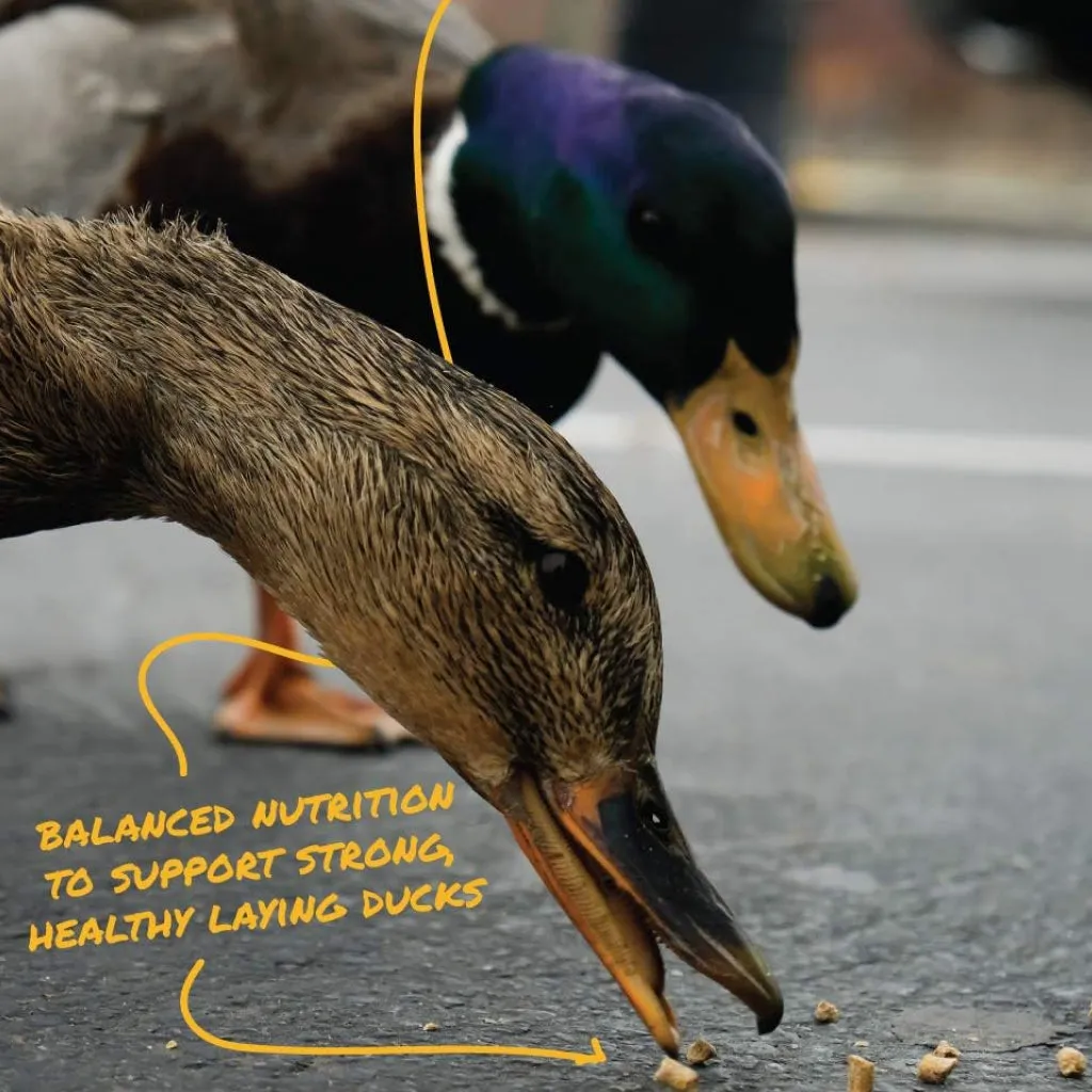 Manna Pro Layer Pellets for Ducks (8 lb)