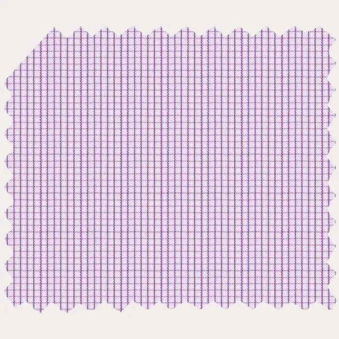 Micro Check Shirt