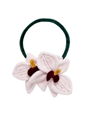 Orquídea de Aire