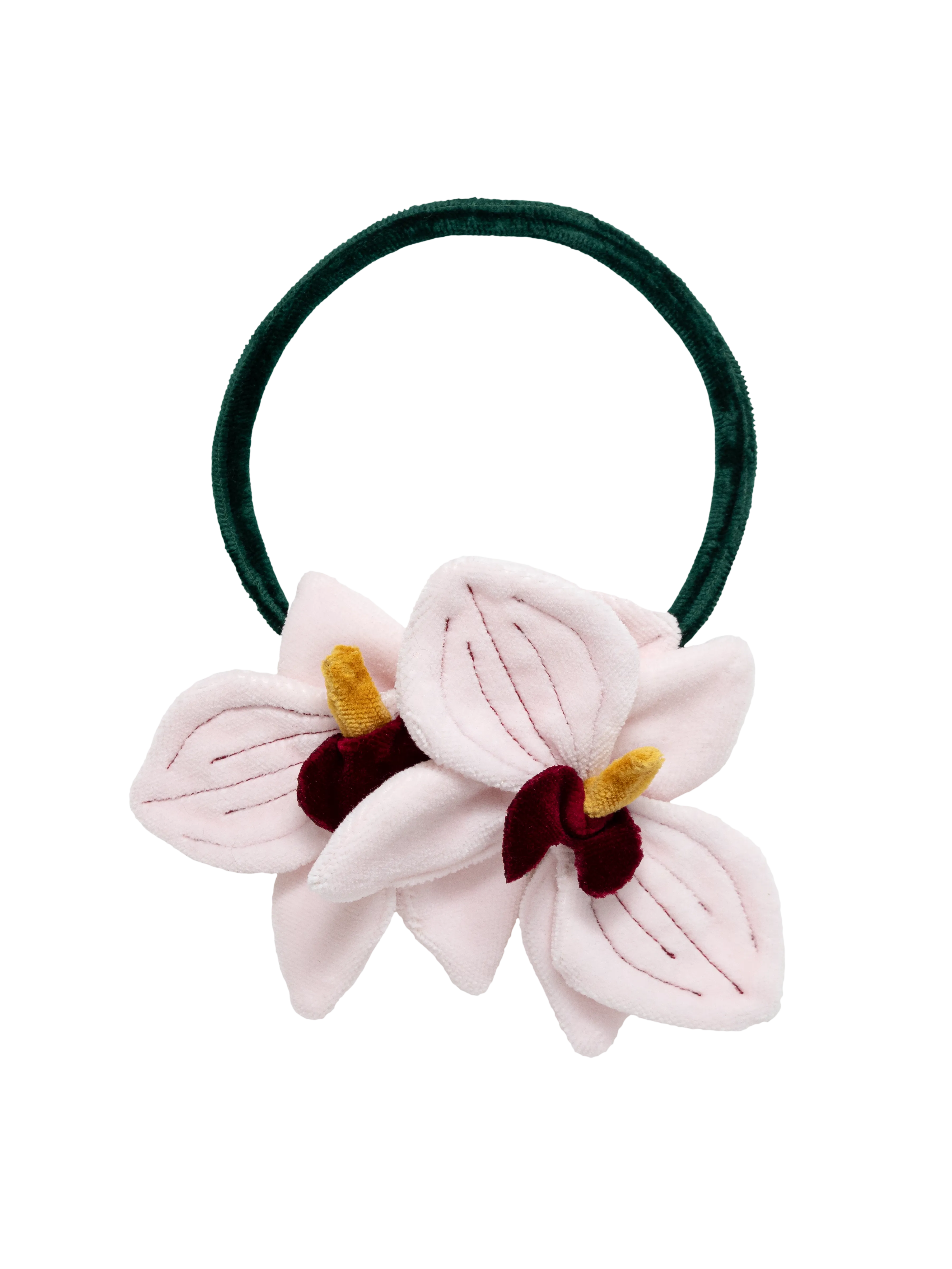 Orquídea de Aire