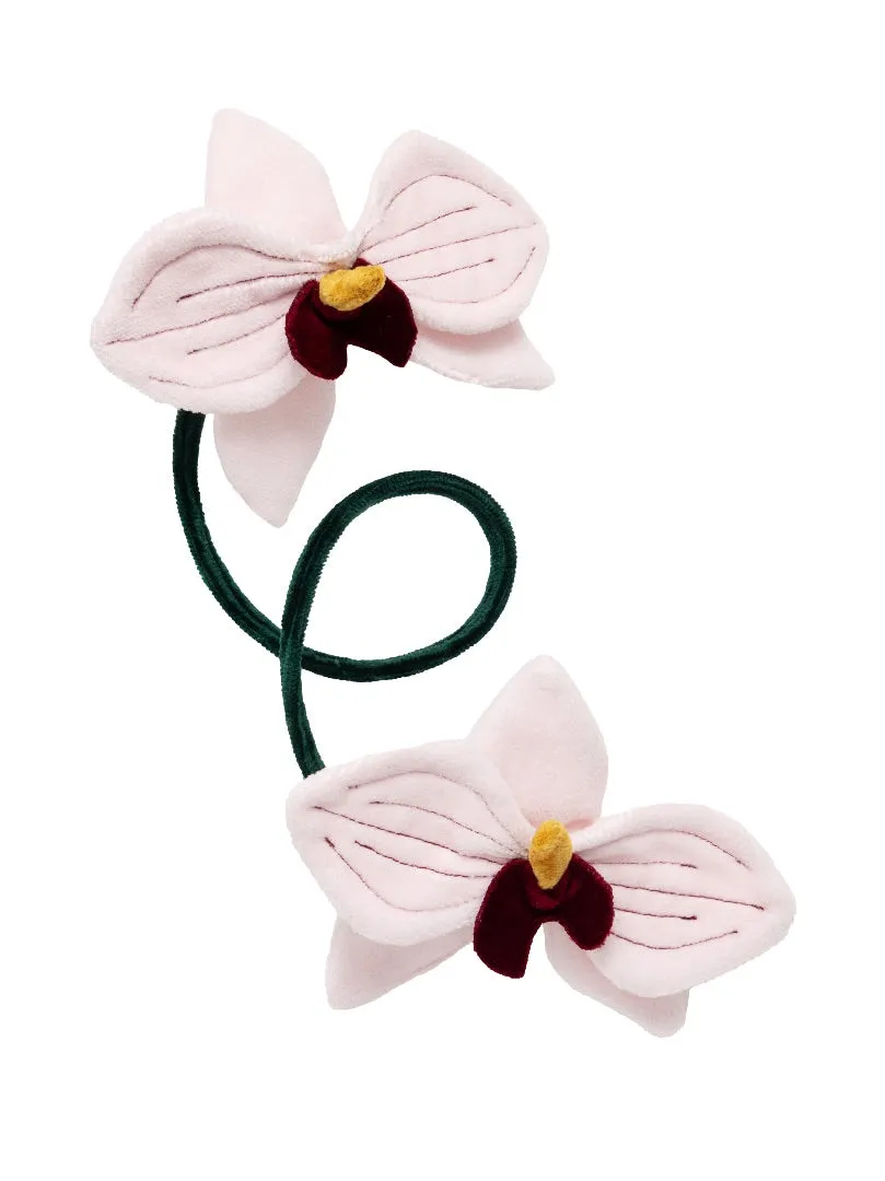 Orquídea de Aire