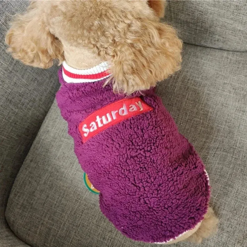 Pet Velvet Pullover: Keep Your Small and Medium Dogs Warm and Stylish in Autumn and Winter with a Thickened Purple Letter Embroidered Sweater