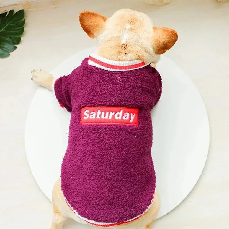 Pet Velvet Pullover: Keep Your Small and Medium Dogs Warm and Stylish in Autumn and Winter with a Thickened Purple Letter Embroidered Sweater
