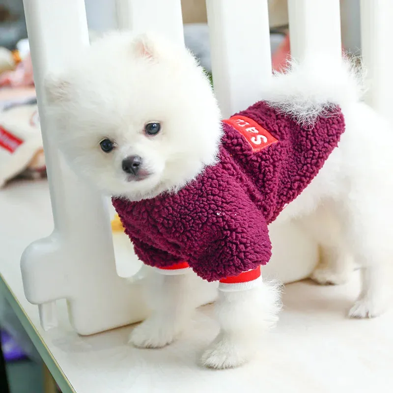 Pet Velvet Pullover: Keep Your Small and Medium Dogs Warm and Stylish in Autumn and Winter with a Thickened Purple Letter Embroidered Sweater