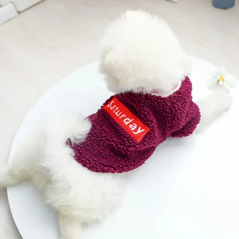 Pet Velvet Pullover: Keep Your Small and Medium Dogs Warm and Stylish in Autumn and Winter with a Thickened Purple Letter Embroidered Sweater