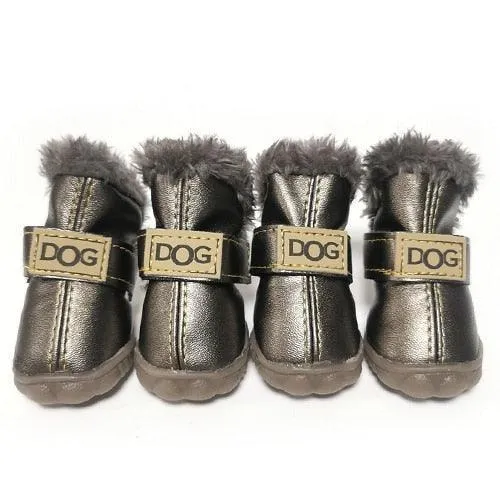 Puppy Uggs