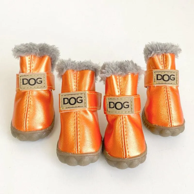 Puppy Uggs