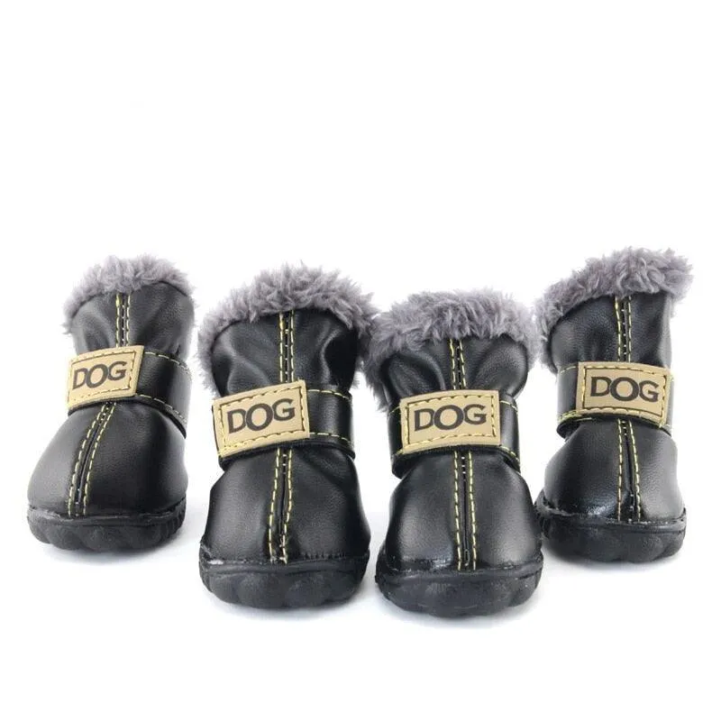 Puppy Uggs