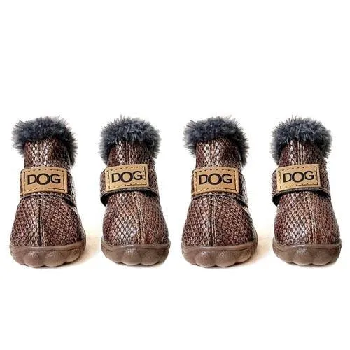 Puppy Uggs