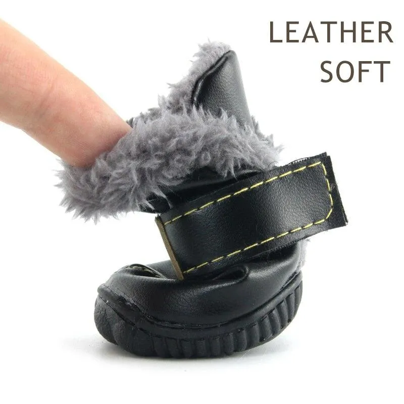 Puppy Uggs