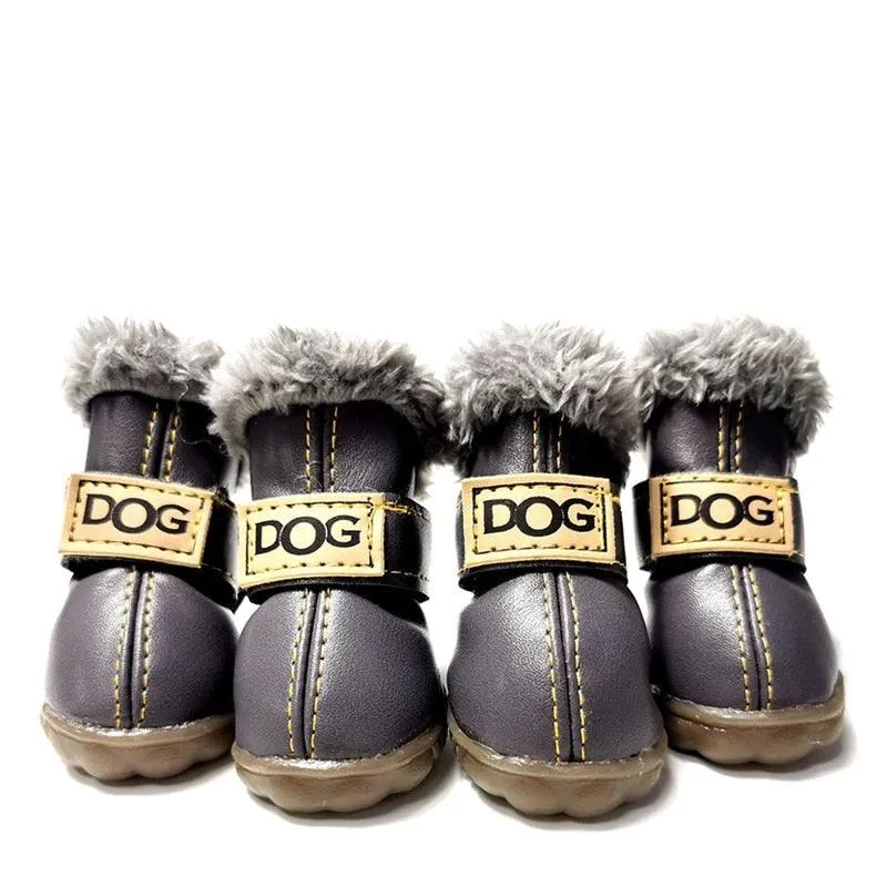 Puppy Uggs
