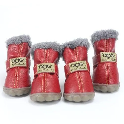 Puppy Uggs