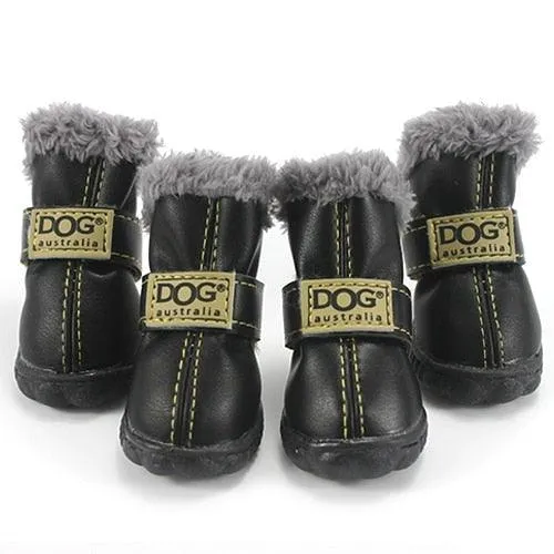 Puppy Uggs