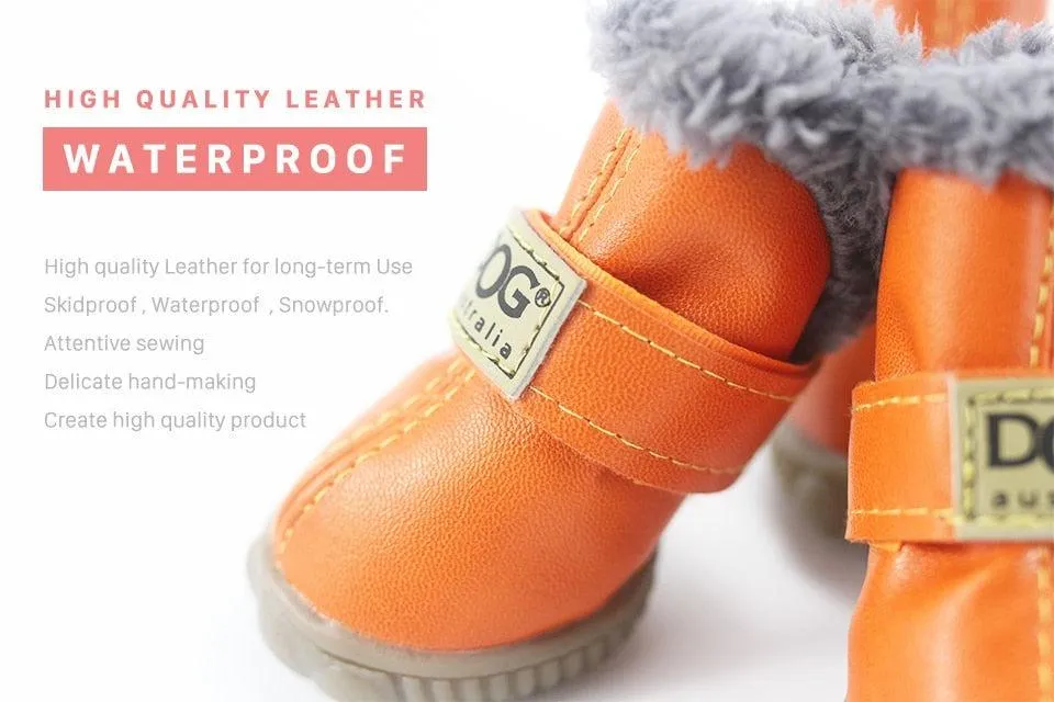 Puppy Uggs