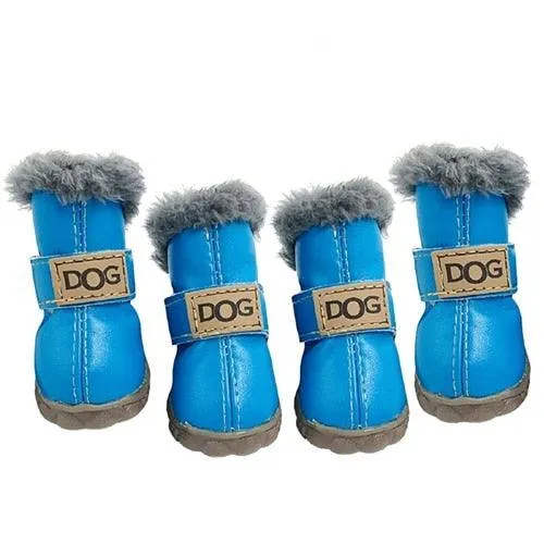 Puppy Uggs
