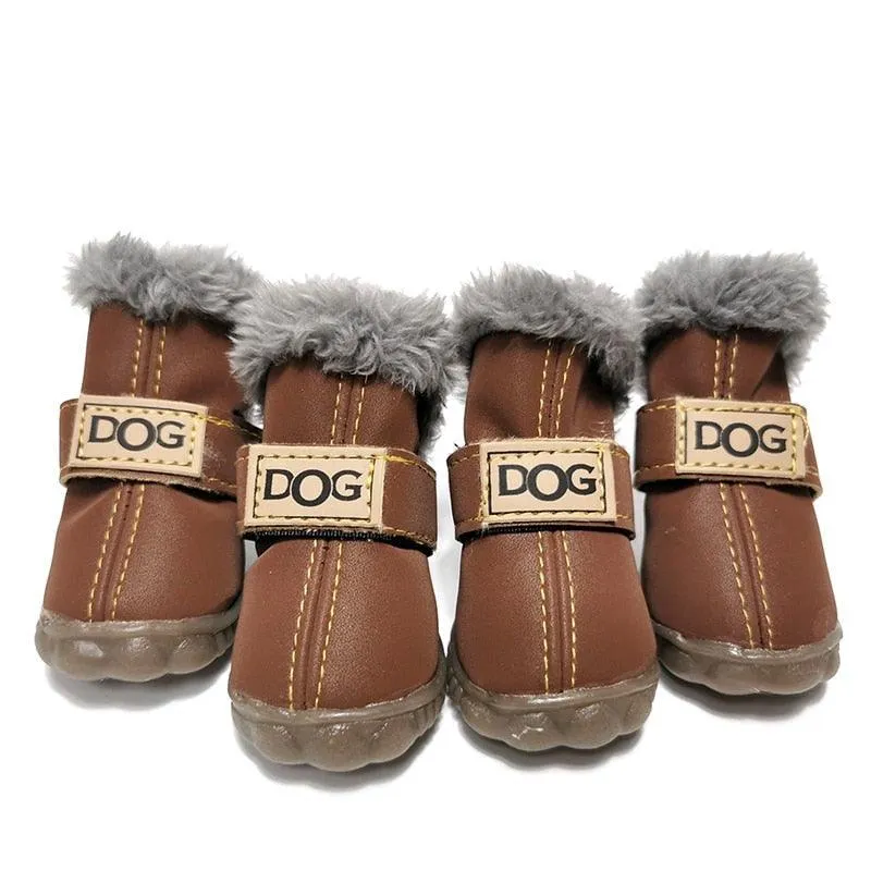 Puppy Uggs