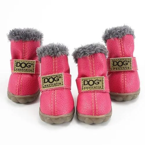 Puppy Uggs