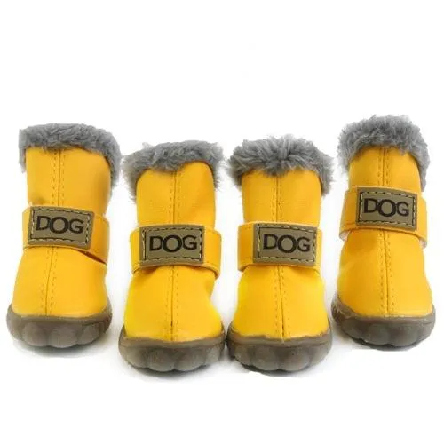 Puppy Uggs
