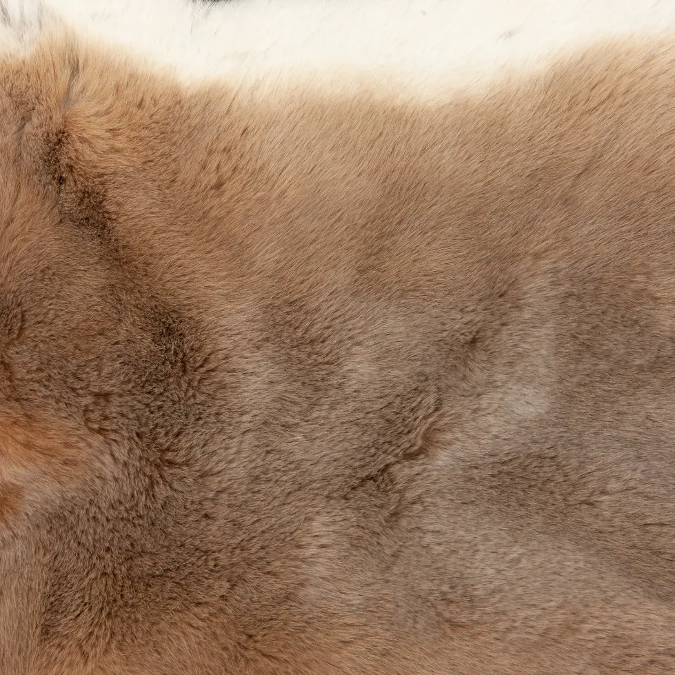 Rex Rabbit Fur - Beige