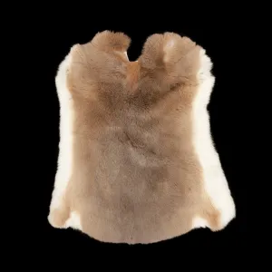 Rex Rabbit Fur - Beige