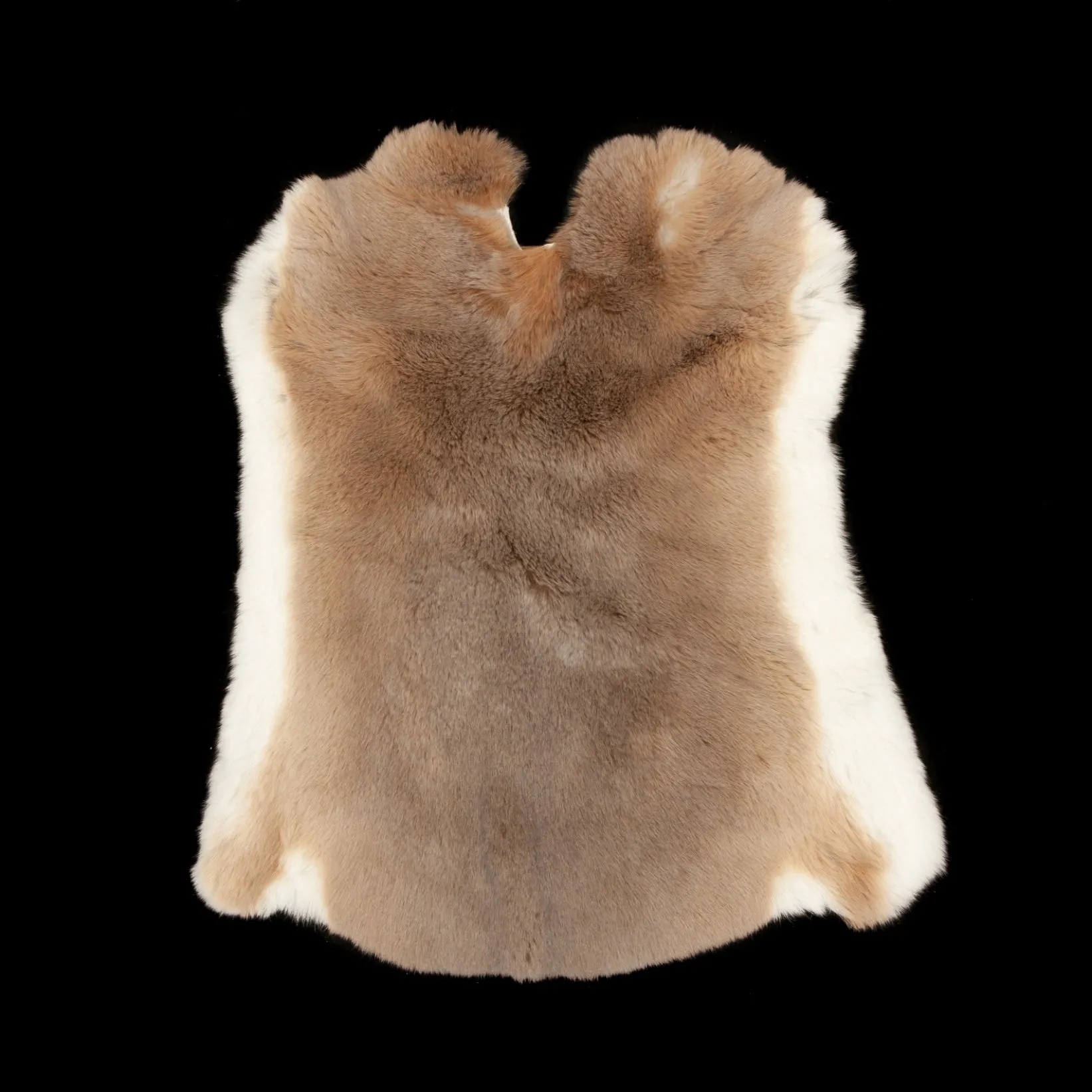 Rex Rabbit Fur - Beige