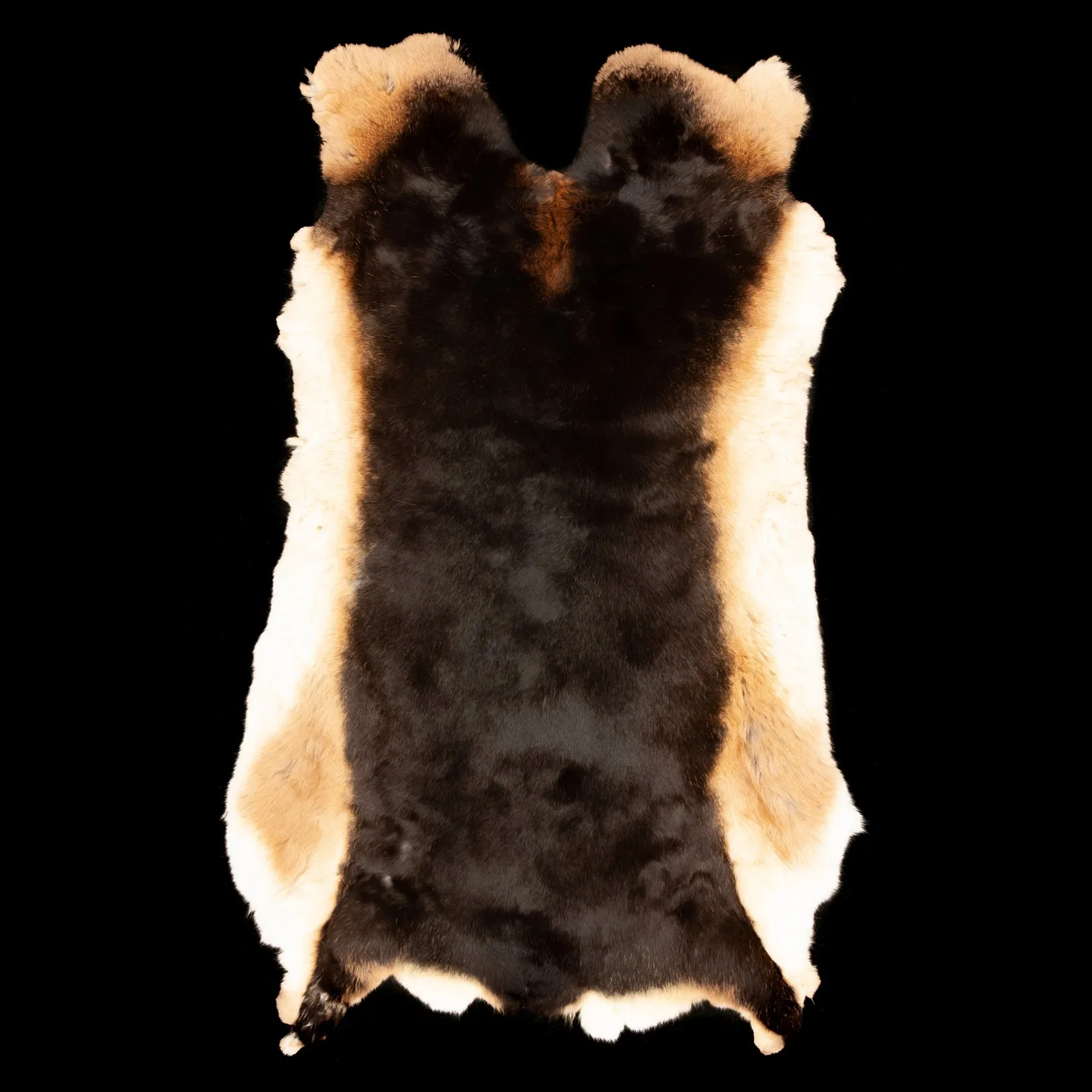 Rex Rabbit Fur - Brown / Tan