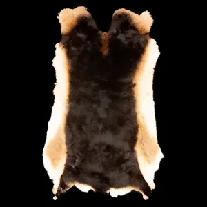 Rex Rabbit Fur - Brown / Tan