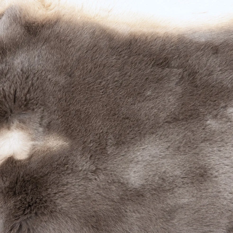 Rex Rabbit Fur - Grey / Tan