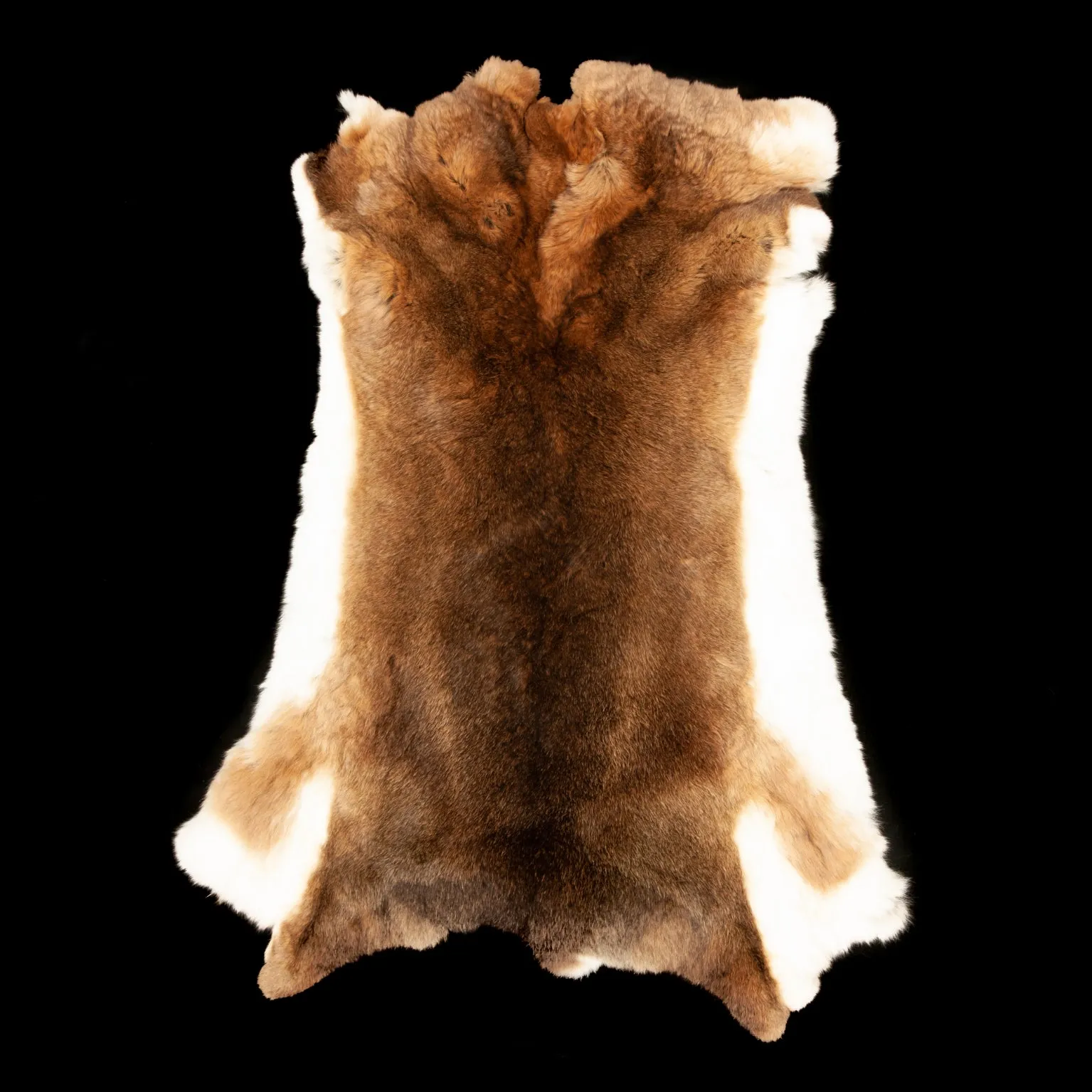 Rex Rabbit Fur - Natural