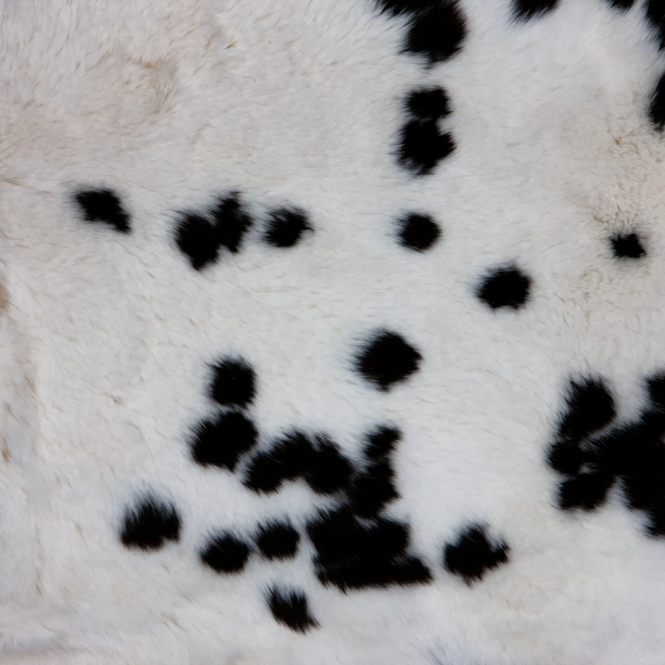 Rex Rabbit Fur - Spotted