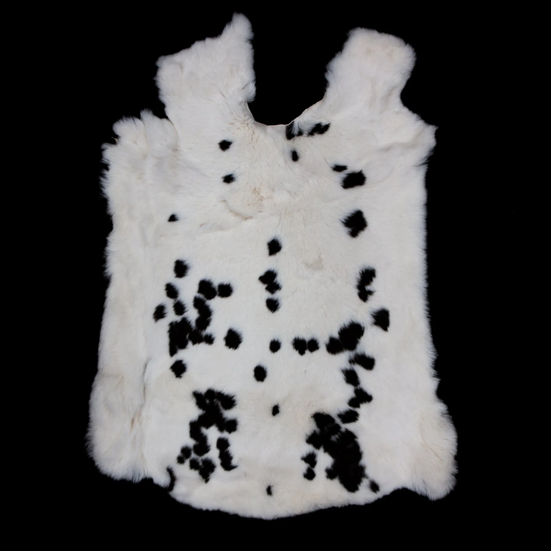 Rex Rabbit Fur - Spotted
