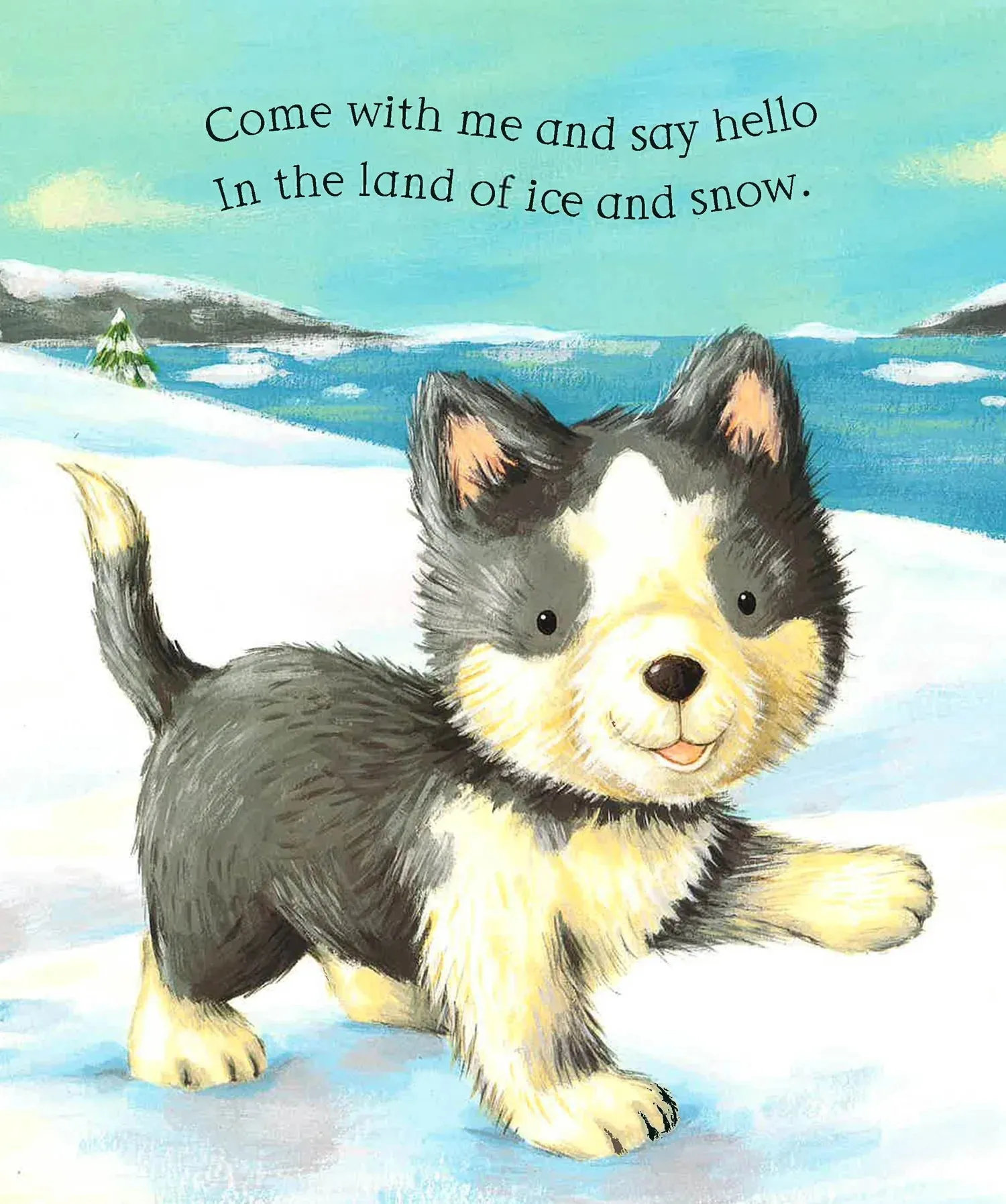 Say Hello to the Snowy Animals!