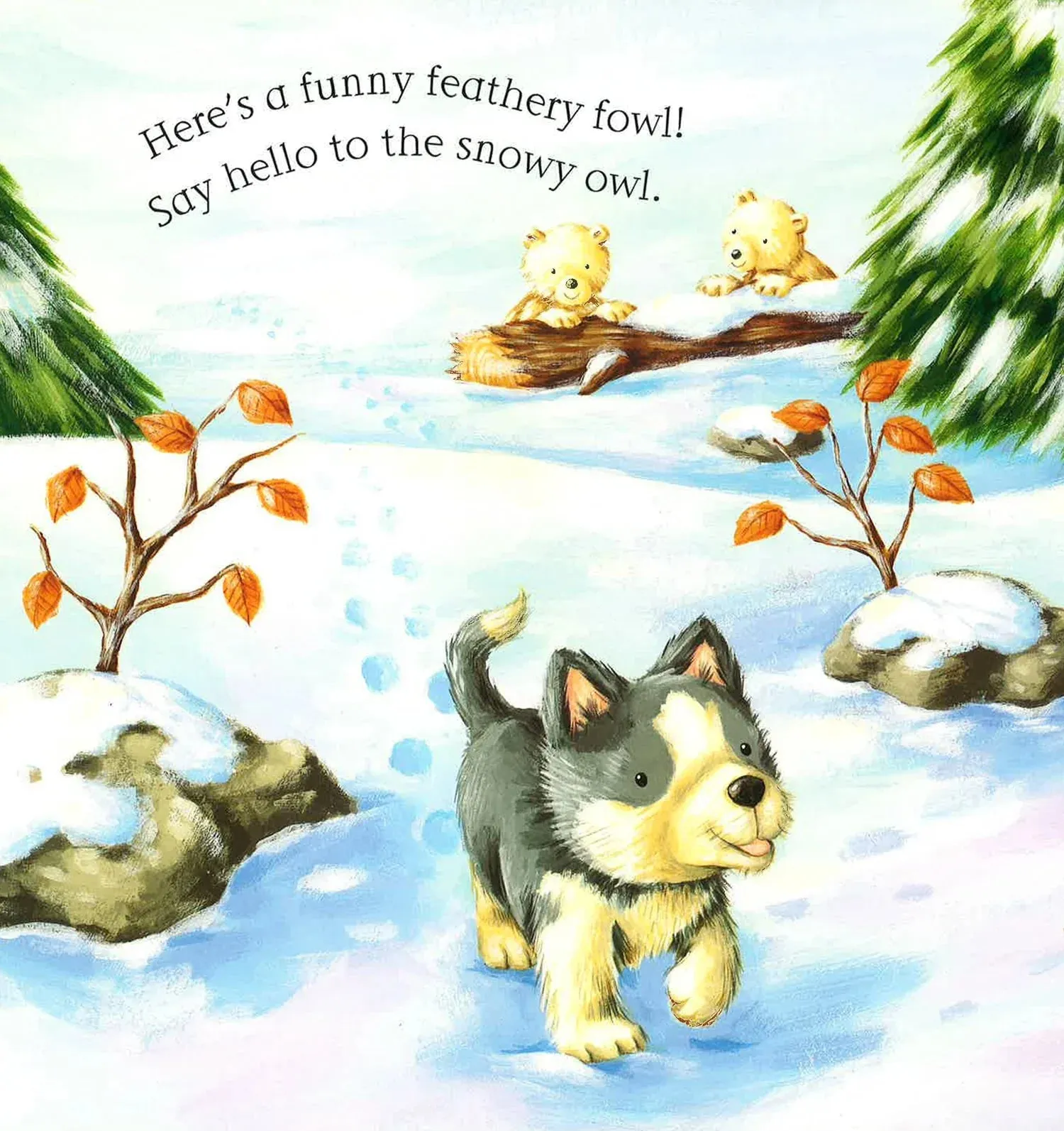 Say Hello to the Snowy Animals!