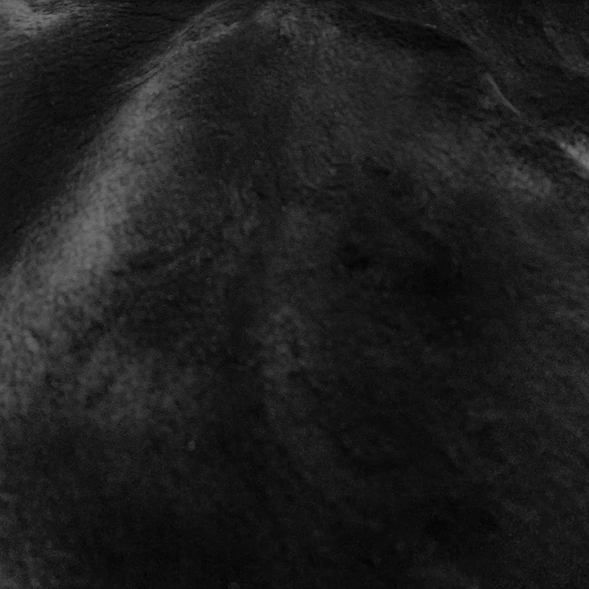 Sheared Beaver Skin