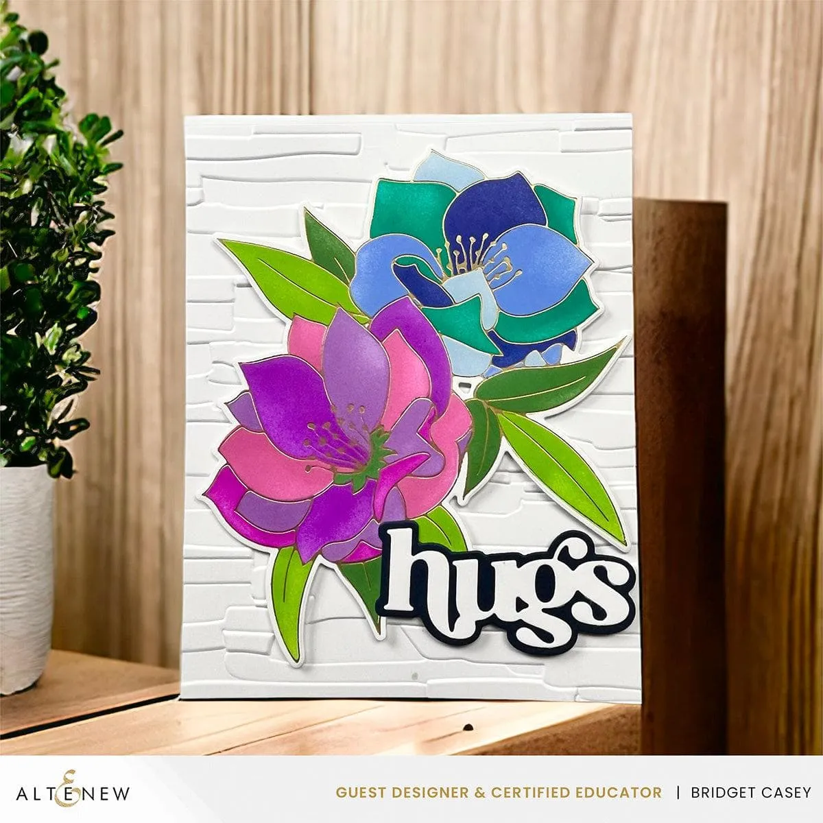 Spark Joy: Black Hellebore