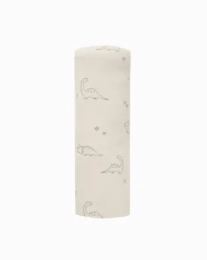 Swaddle || Dinos