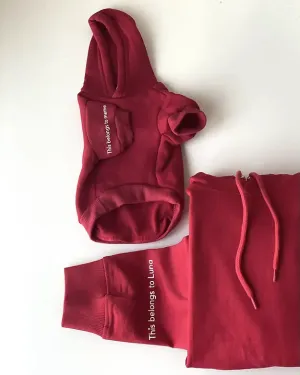 This belongs to ... pet hoodie