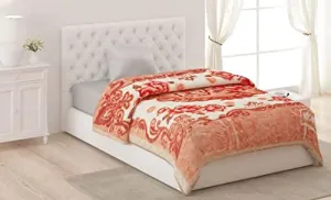 WINSTON HOME Cloudy Kids Blanket Single Bed Double Ply Super Soft Fabric Floral Printed Mink Heavy Duty Luxury Ultra for Heavy Winters with English Colors 60 X 90 inches (Pack of 1)