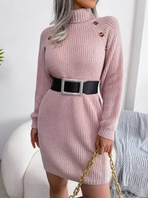 Winter Warmth Turtleneck Sweater Dress Mini